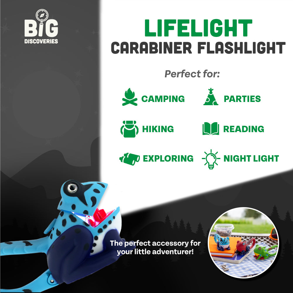 WildLight - Green Frog