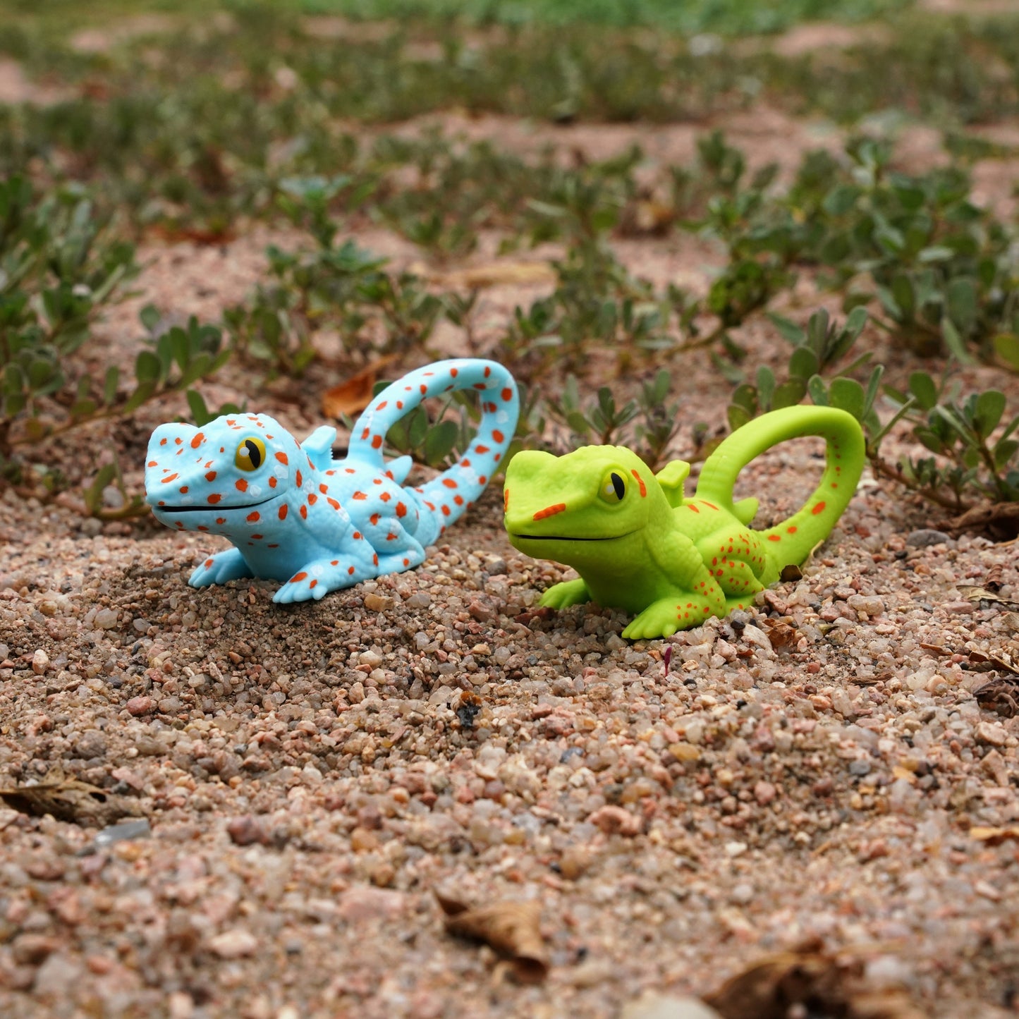 WildLight - Blue Lizard