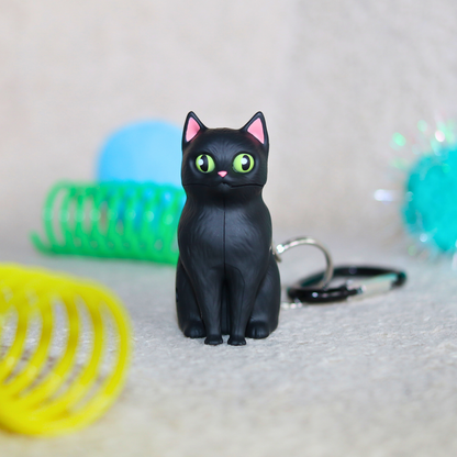 WildLight - Black Cat