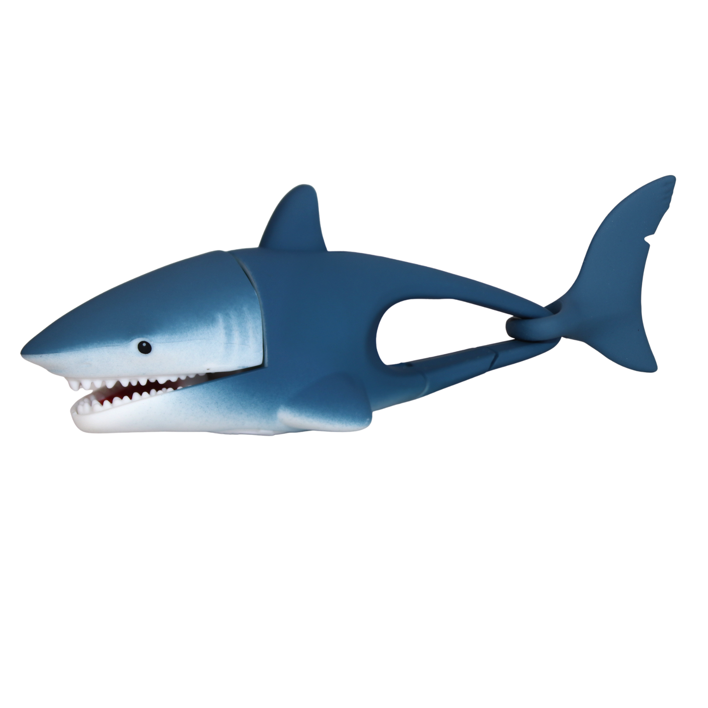 WildLight - Shark