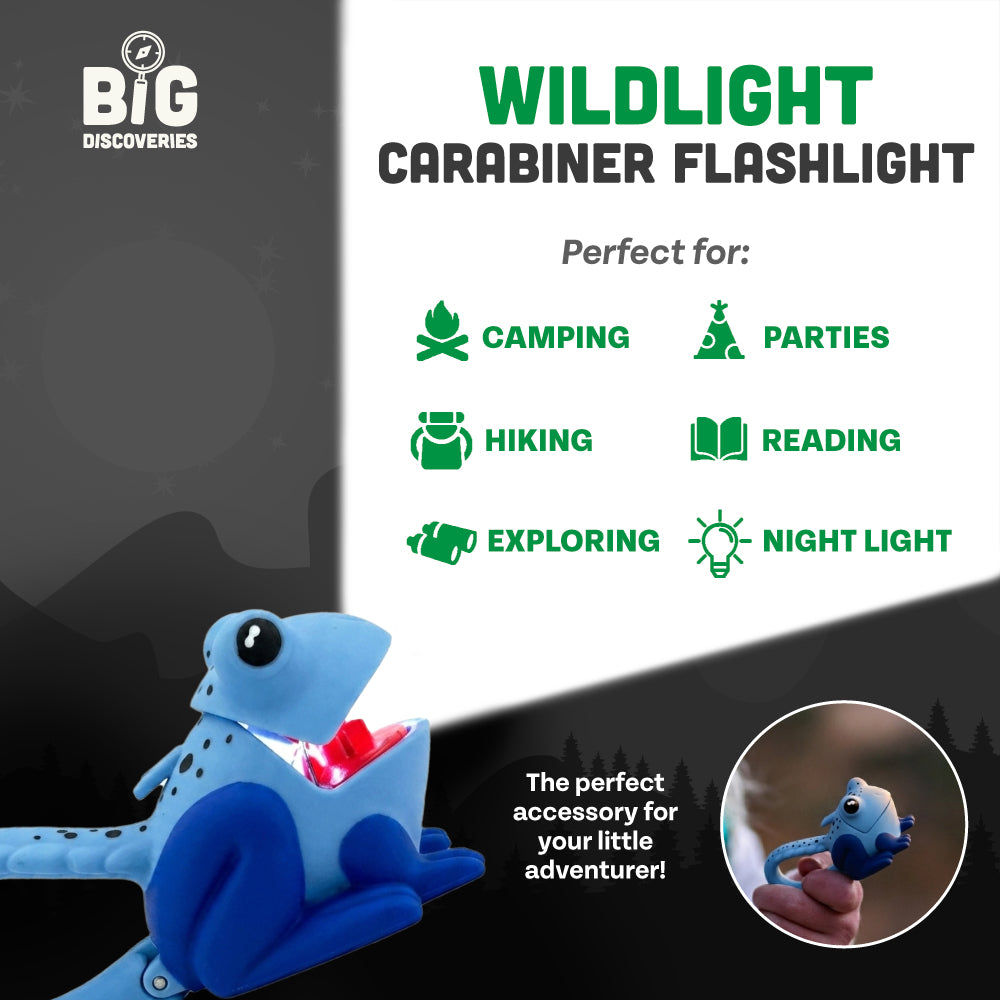 WildLight - Blue Frog