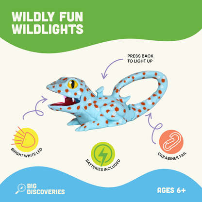 WildLight - Blue Lizard