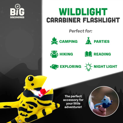 WildLight - Yellow Frog