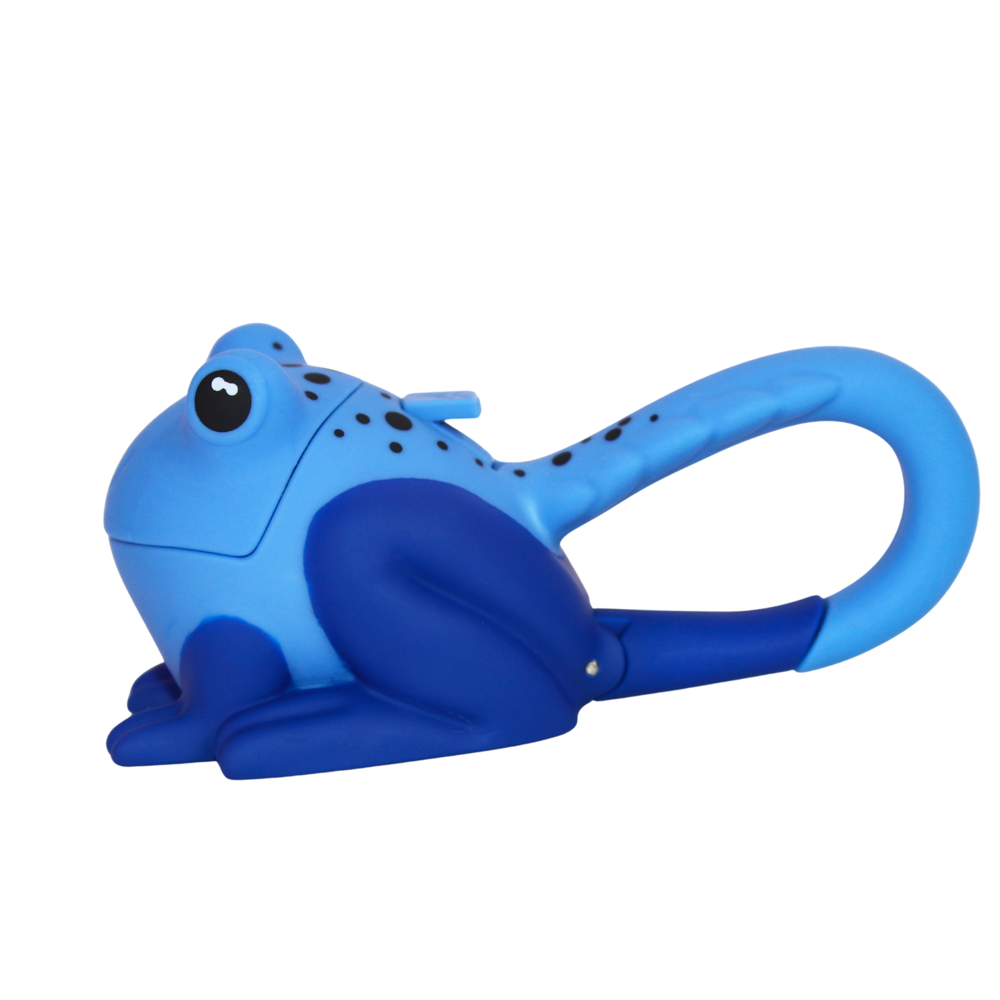 WildLight - Blue Frog