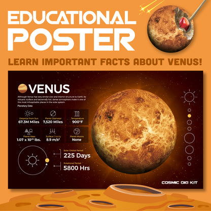 Cosmic Dig Kit - Venus