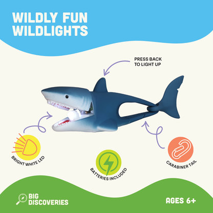 WildLight - Shark