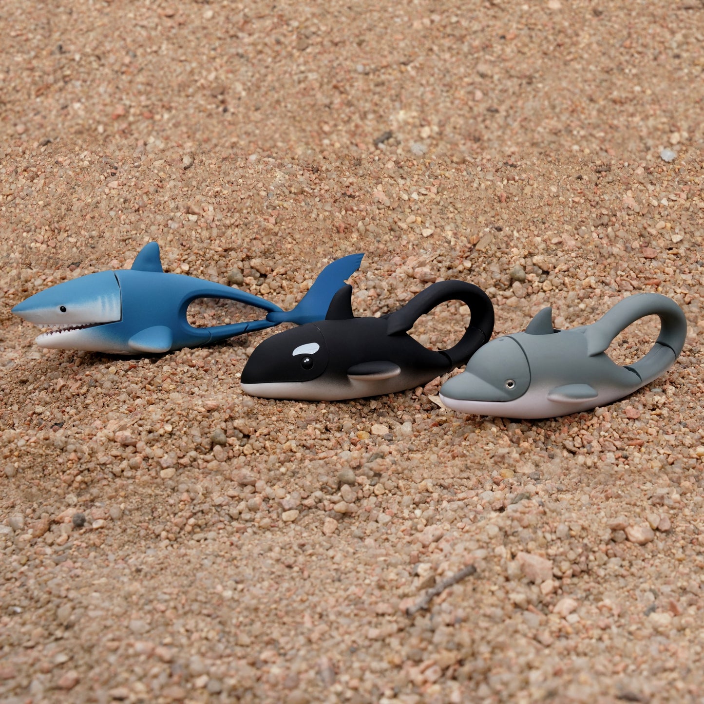 WildLight - Shark
