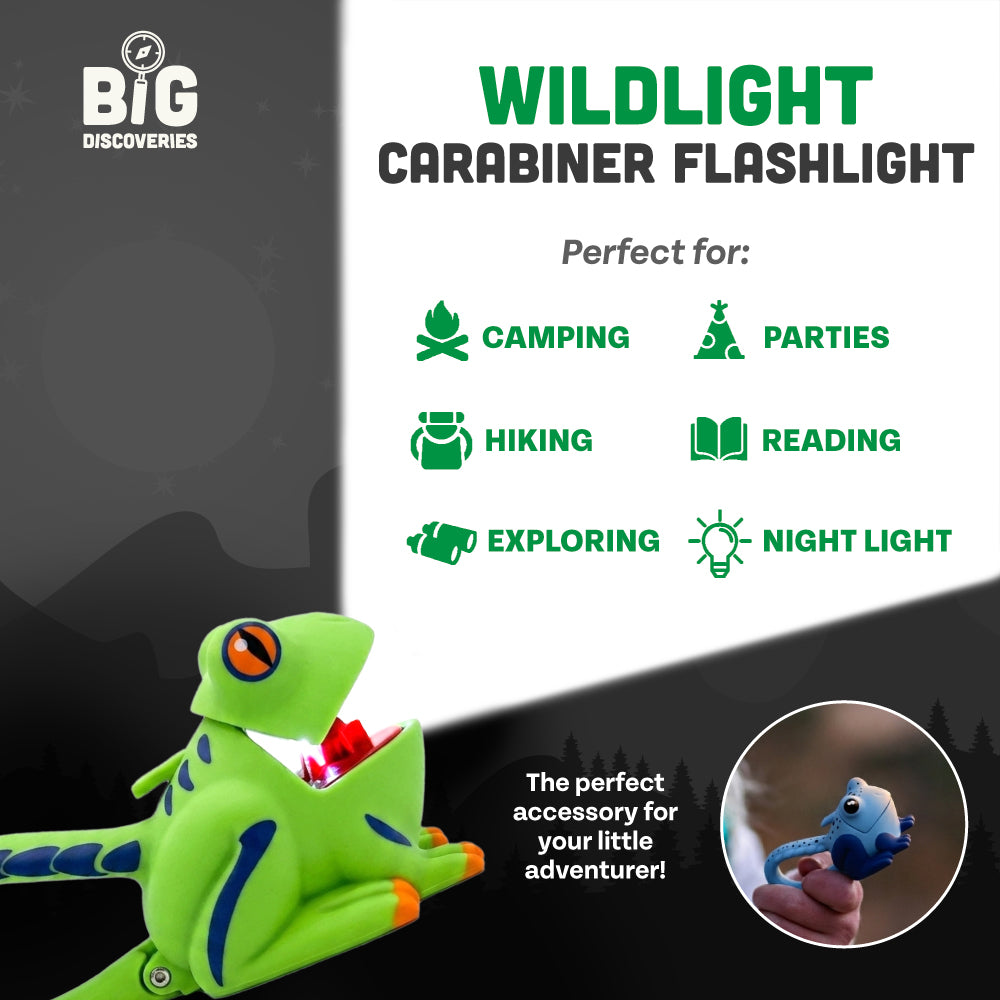WildLight - Green Frog