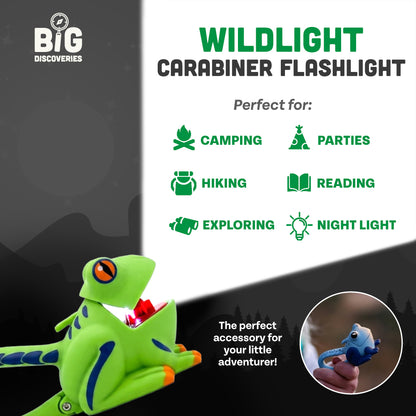 WildLight - Green Frog