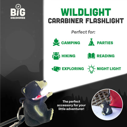 Black Bear WildLight