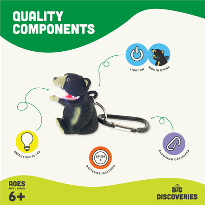 Black Bear WildLight