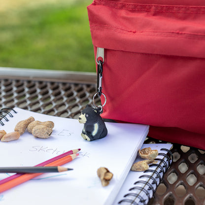 Black Bear WildLight