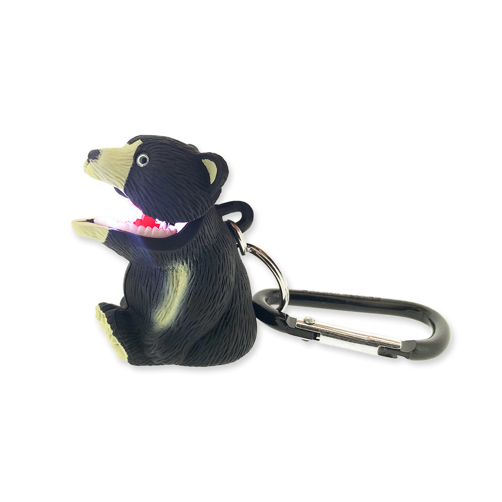 WildLight - Black Bear