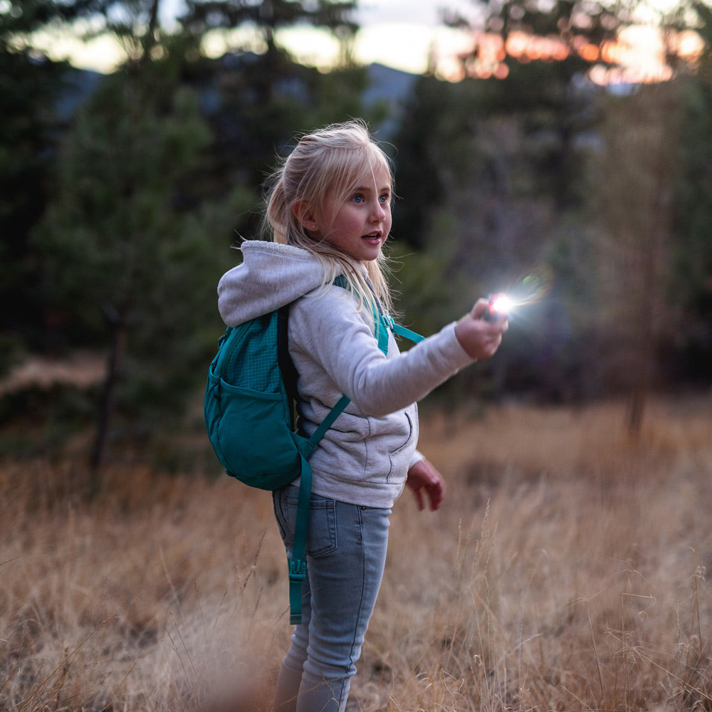 Big Discoveries Lizard WildLight - Fun Mini Carabiner Flashlight