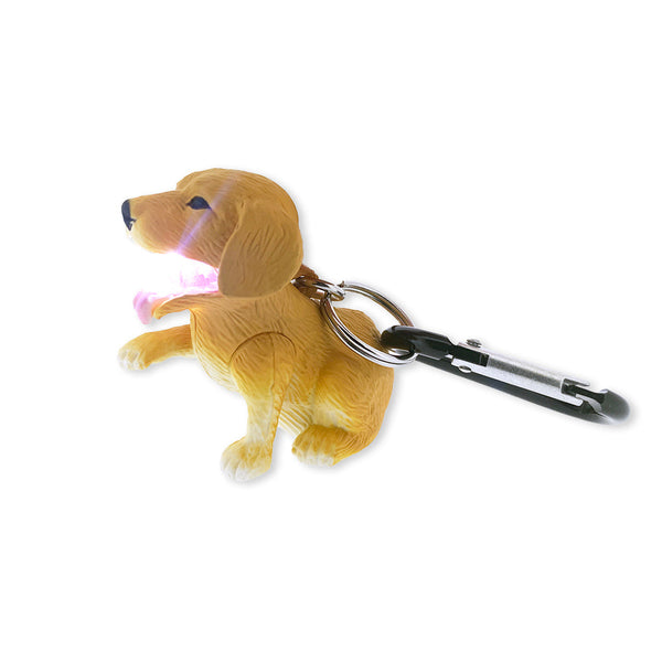 Torcia LED Sun Company Con Moschettone Per Animali, WildLight Big Discoveries Retriever